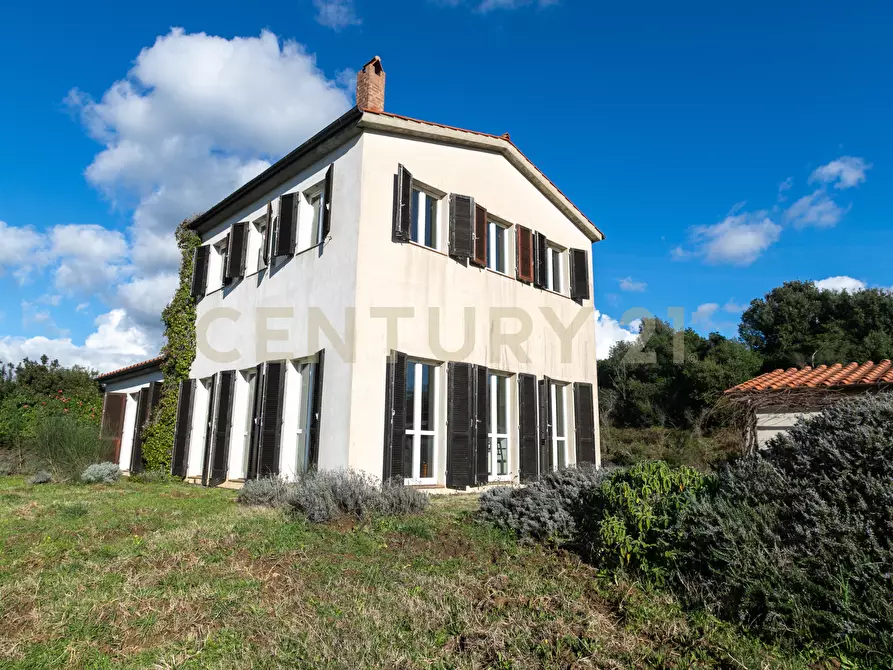 Immagine 21 di Villa in vendita  in Località Valle Maggiore 1 a Magliano In Toscana