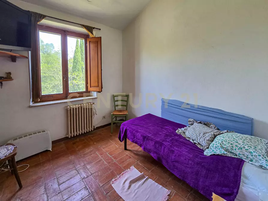 Immagine 20 di Rustico / casale in vendita  in Via di Bagnolo 1 a Civitella Paganico