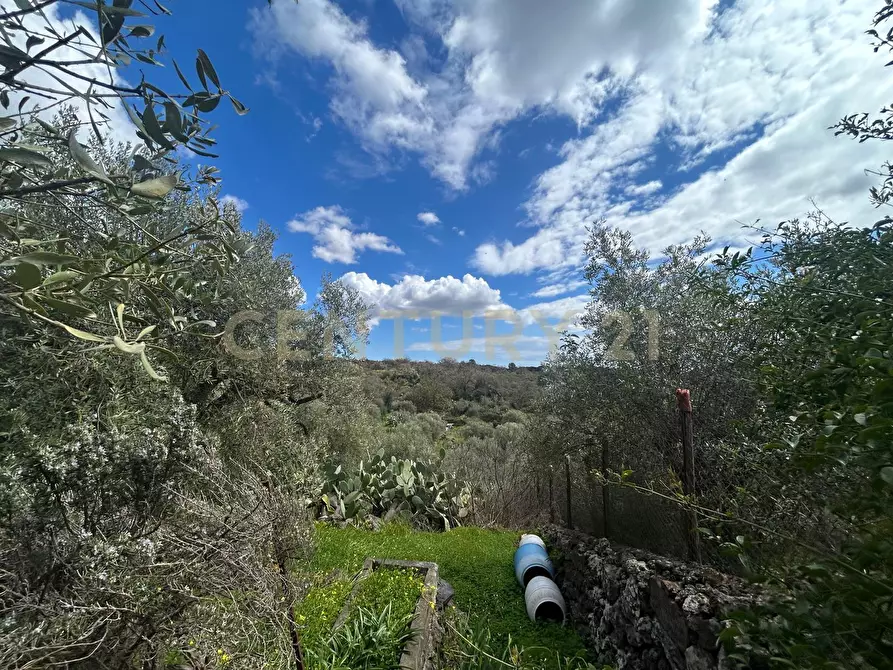 Immagine 3 di Terreno edificabile in vendita  in Viale Giovanni Falcone 9 a Camporotondo Etneo