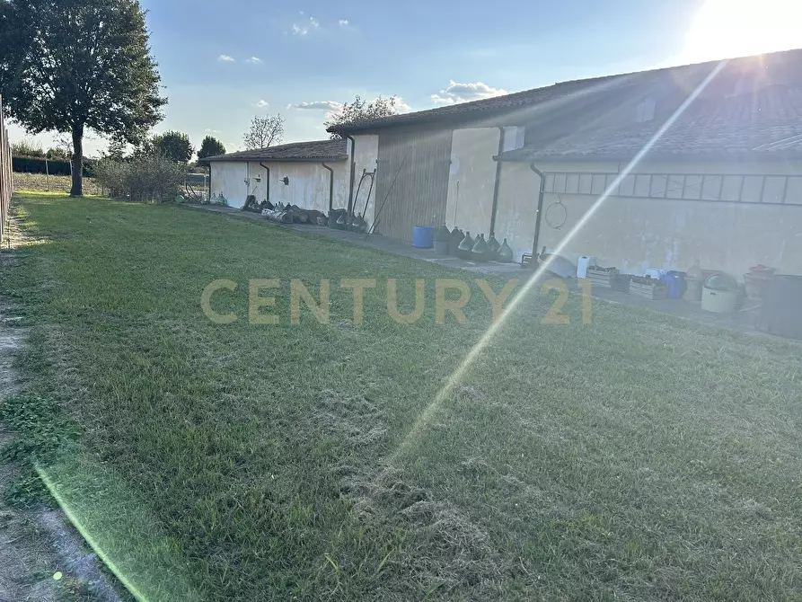 Immagine 50 di Rustico / casale in vendita  in Via Trento 70 a Minerbe