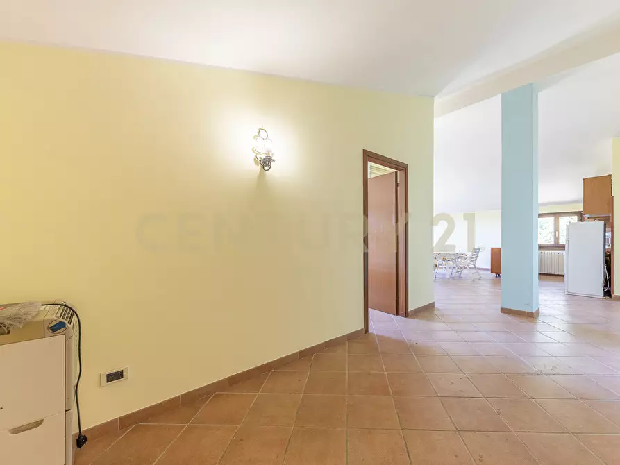 Immagine 74 di Rustico / casale in vendita  in località san quirichello a Barbarano Romano