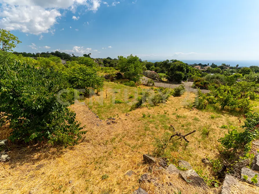Immagine 32 di Villa in vendita  in Via Grazia Deledda 28 a Santa Venerina