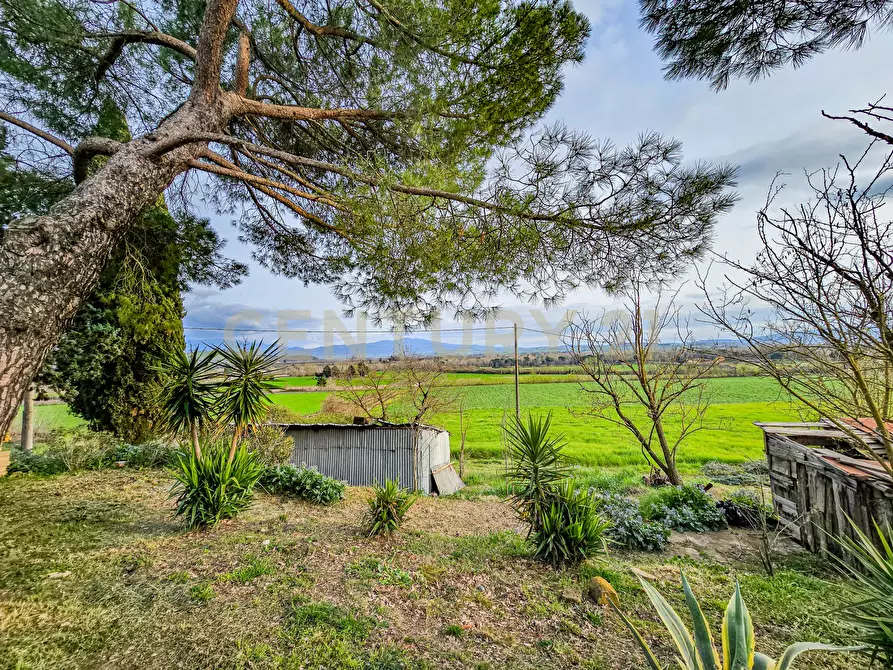 Immagine 2 di Terratetto in vendita  in Strada Interpoderale delle Baracche 5 a Civitella Paganico