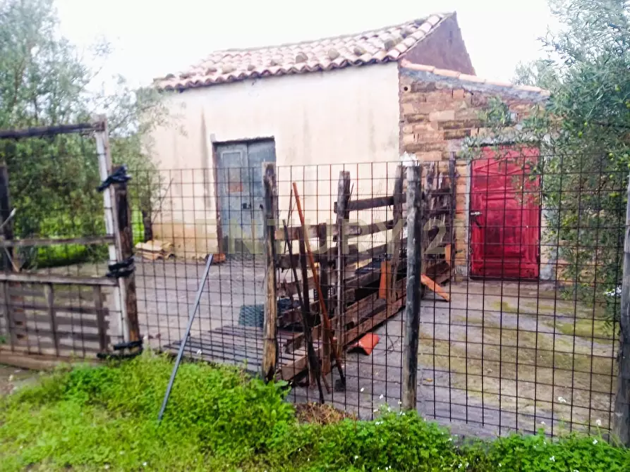 Immagine 6 di Terreno agricolo in vendita  in Contrada Masseria Grande SNC a Centuripe