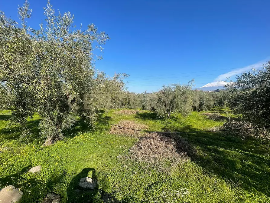 Immagine 47 di Terreno agricolo in vendita  in contrada agnelleria a Belpasso