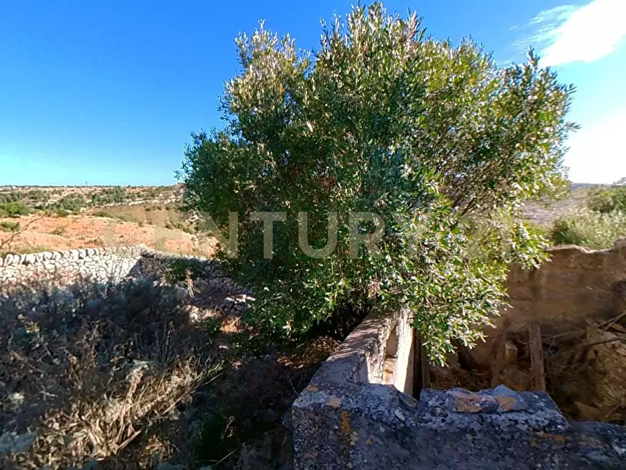 Immagine 11 di Rustico / casale in vendita  in Via dei Tulipani 21 a Ragusa