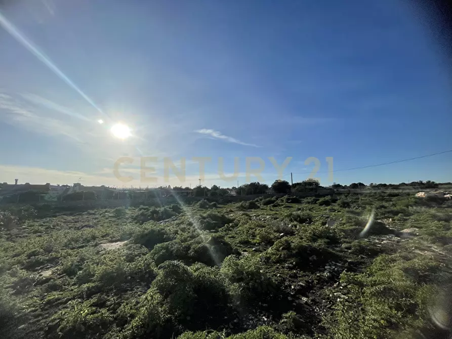 Immagine 13 di Terreno agricolo in vendita  in CONTRADA CORRIDORE CAMPANA SNC a Portopalo Di Capo Passero