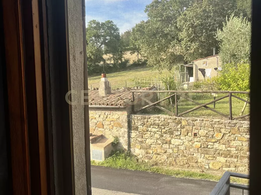 Immagine 21 di Terratetto in vendita  in Via G. Matteotti a Semproniano