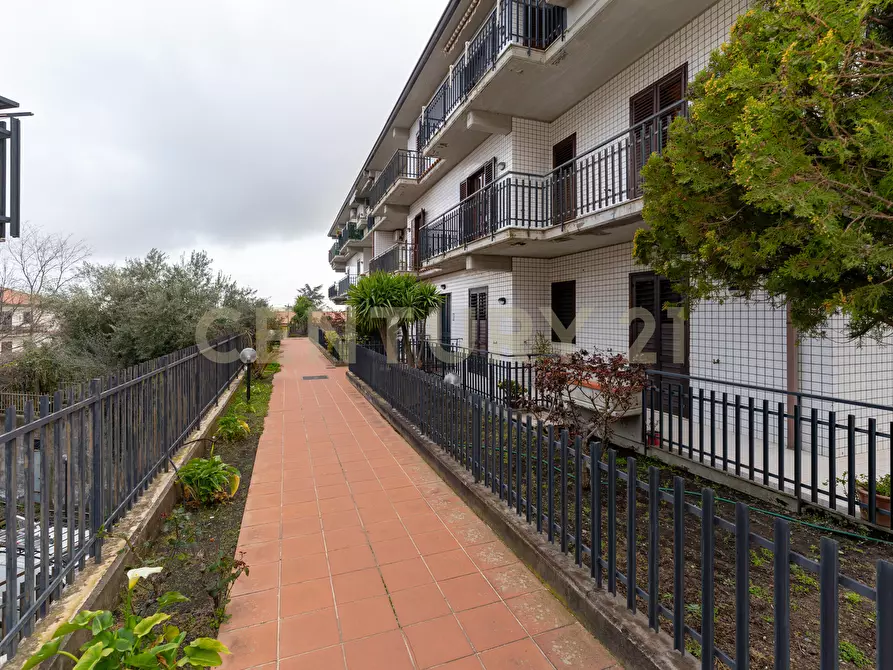 Immagine 4 di Quadrilocale in vendita  in Via Ercole Patti 91 a Pedara