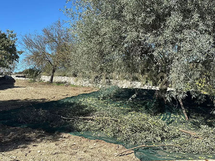 Immagine 1 di Rustico / casale in vendita  in strada provinciale 104 a Modica