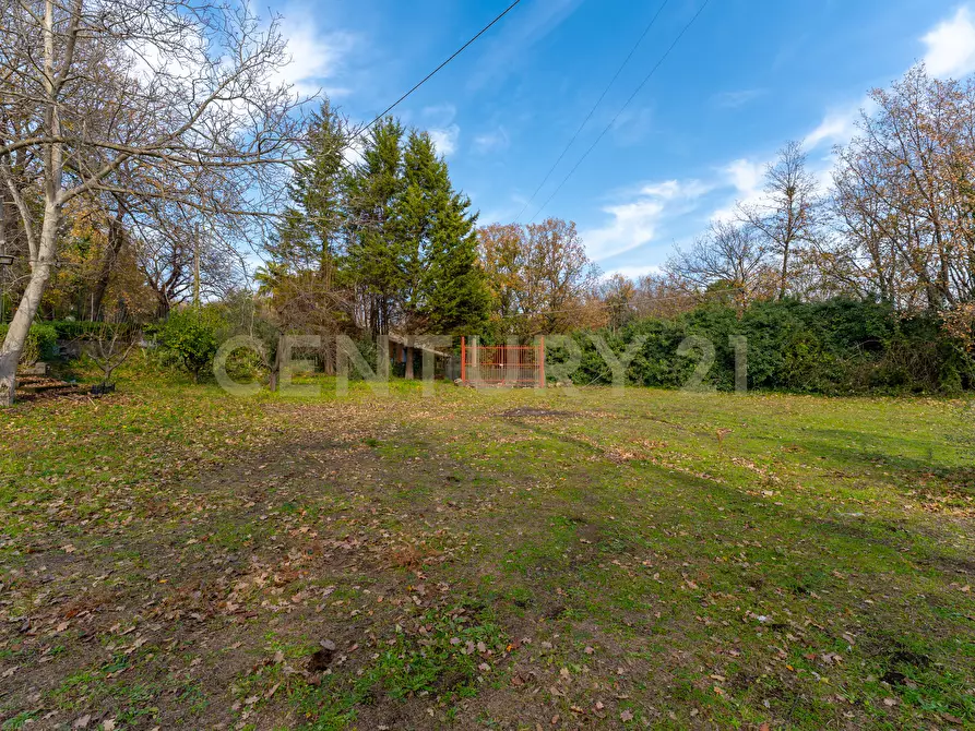 Immagine 8 di Villa in vendita  in CONTRADA ALBORETTO a Linguaglossa