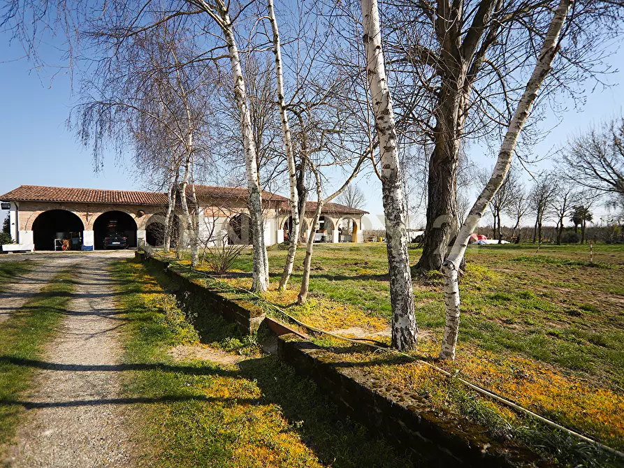 Immagine 18 di Rustico / casale in vendita  in Via Trento 70 a Minerbe