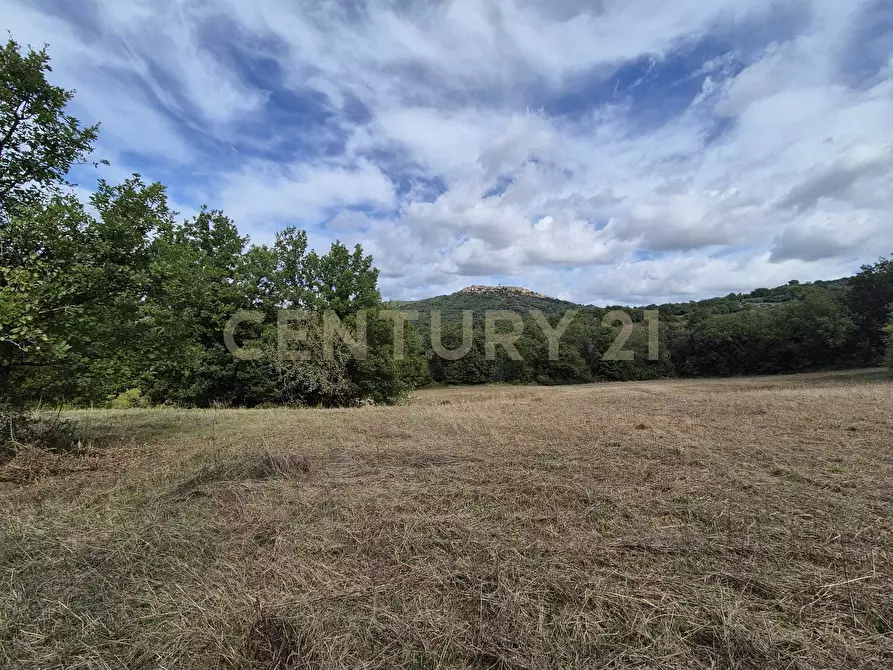 Immagine 11 di Terreno agricolo in vendita  in località la vena snc a Civitella Paganico