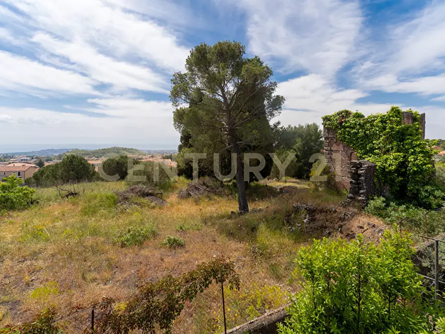 Immagine 67 di Villa in vendita  in Via San Giuseppe 63 a Pedara