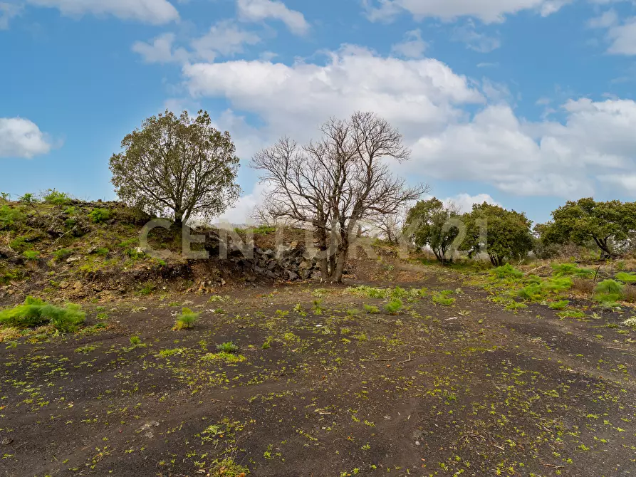 Immagine 23 di Terreno edificabile in vendita  in Via Nocille 55 a Mascali