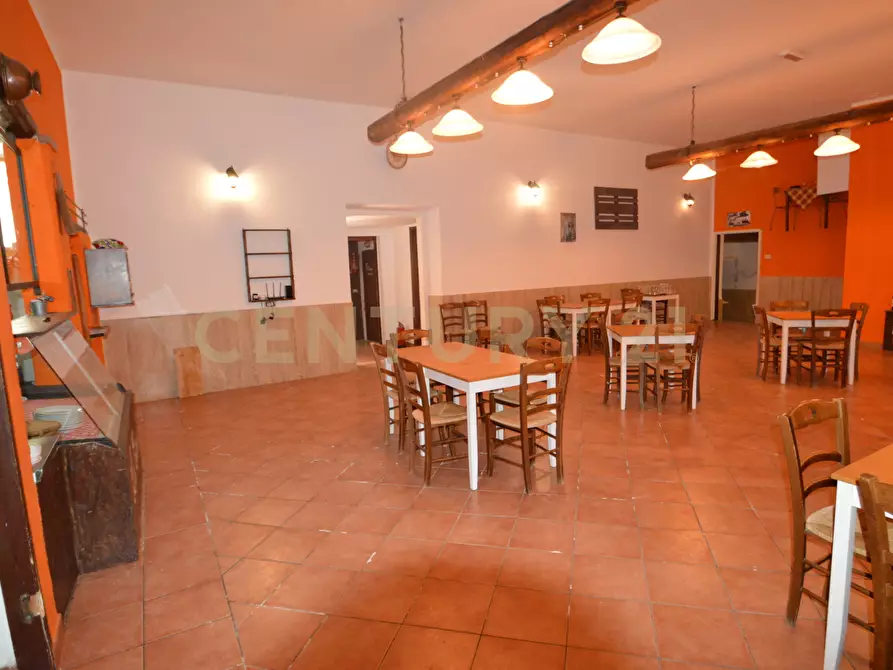 Immagine 15 di Attività artigianale in vendita  a Campagnatico