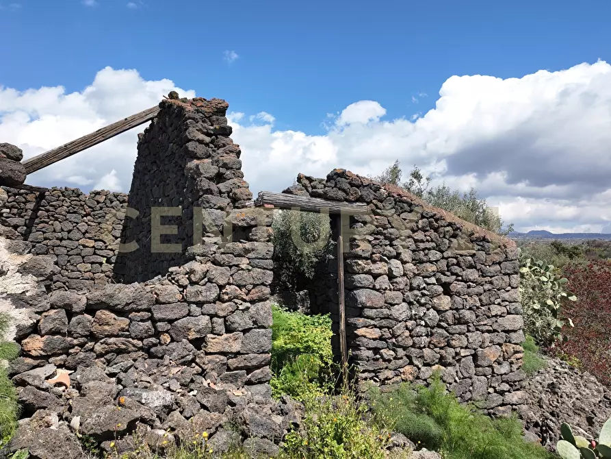 Immagine 24 di Terreno agricolo in vendita  in Contrada malvezzaro a Santa Maria Di Licodia
