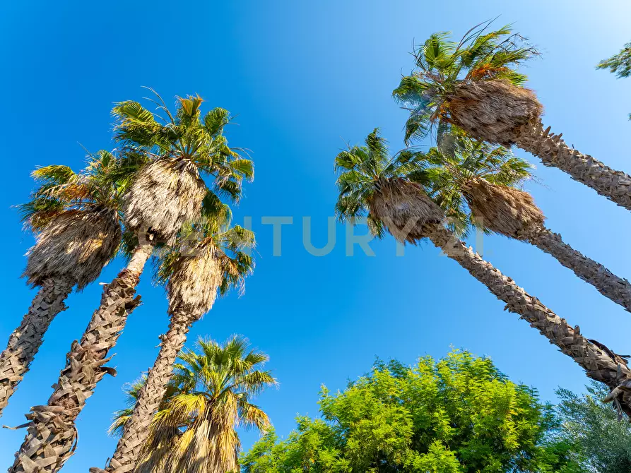 Immagine 52 di Casa indipendente in vendita  in via cristoforo colombo 19 a San Pietro Clarenza