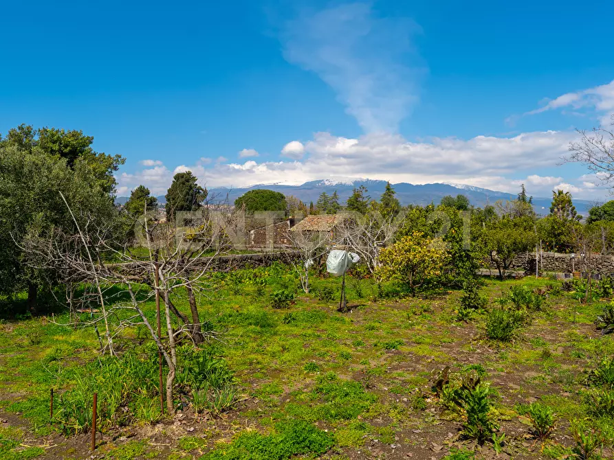 Immagine 57 di Villa in vendita  in Via Ramondetta 47 a Aci Sant'antonio