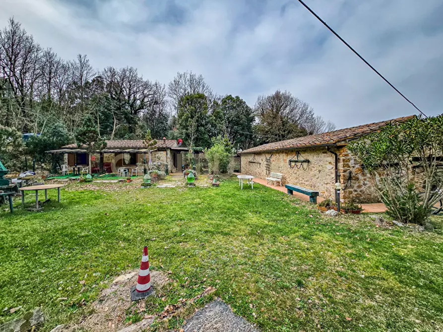 Immagine 22 di Rustico / casale in vendita  in Località Camaiano snc a Roccastrada