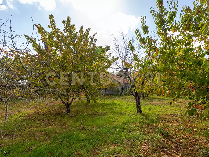 Immagine 29 di Villa in vendita  in Contrada Scolaro Cisterna a Adrano