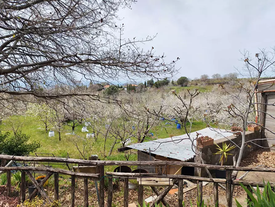 Immagine 7 di Terreno agricolo in vendita  in BIANCAVILLA a Catania