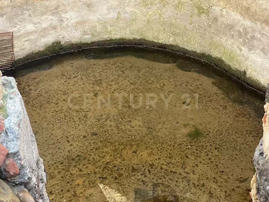 Immagine 37 di Terreno agricolo in vendita  in contrada agnelleria a Belpasso