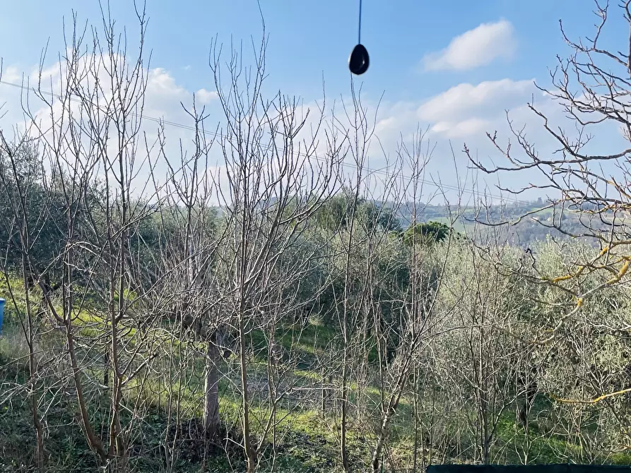 Immagine 19 di Villetta a schiera in vendita  in Via Battinebbia a Jesi