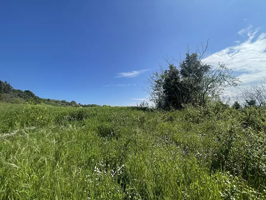 Immagine 9 di Rustico / casale in vendita  in Frazione Poggio a Ancona