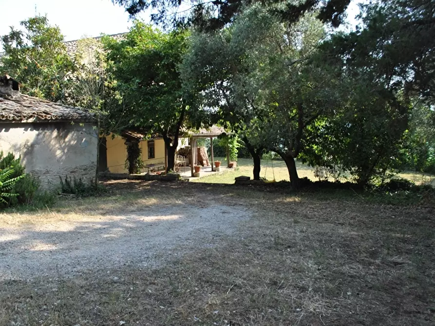 Immagine 7 di Rustico / casale in vendita  in Osimo a Osimo