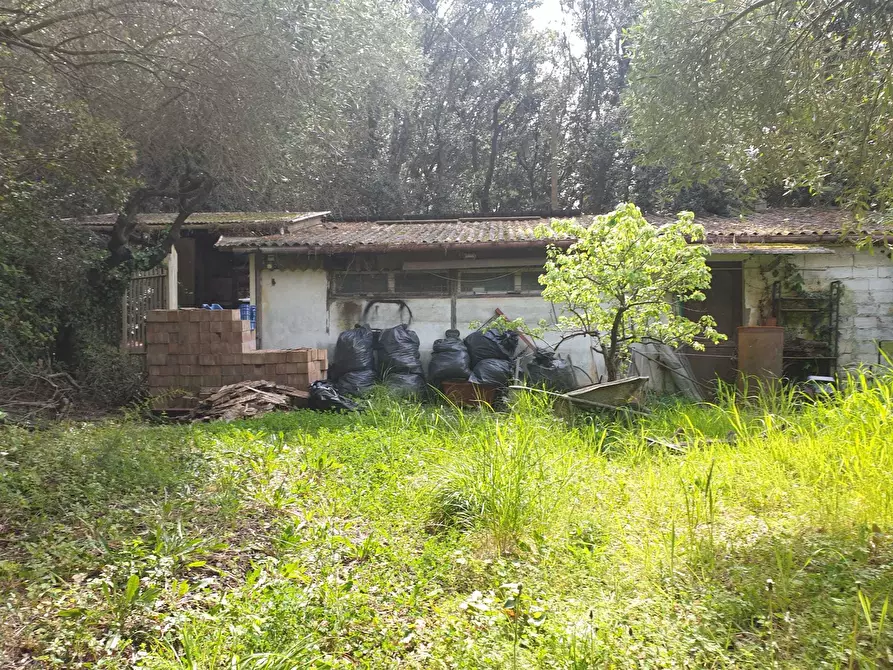 Immagine 3 di Rustico / casale in vendita  a Livorno