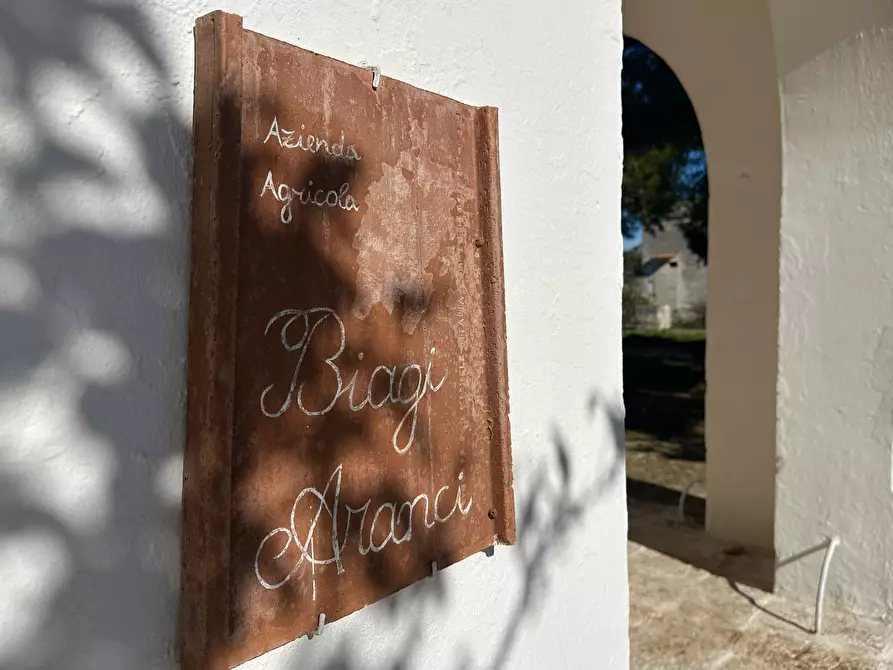 Immagine 19 di Villa in vendita  in Contrada Montestazzo 1 a Carovigno