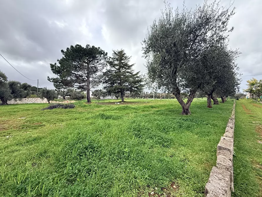 Immagine 8 di Casa indipendente in vendita  in contrada sorbole a Ostuni