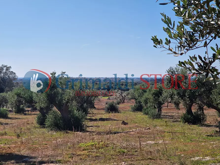 Immagine 15 di Casa indipendente in vendita  a Porto Cesareo