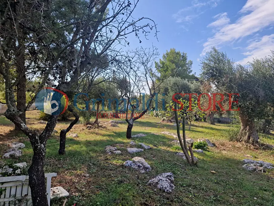 Immagine 16 di Casa indipendente in vendita  a Ostuni