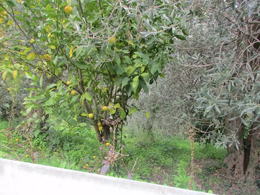 Immagine 35 di Appartamento in vendita  in Via San Paolo Gala 10 a Barcellona Pozzo Di Gotto