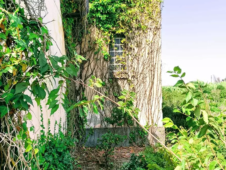 Immagine 27 di Terreno agricolo in vendita  in Lungomare Agnone Bagni a Augusta