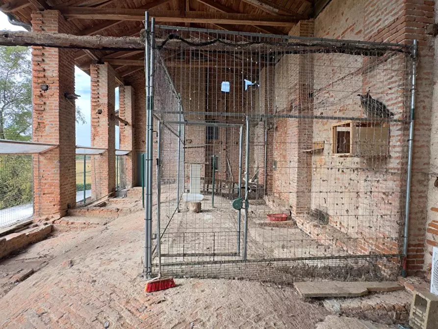 Immagine 17 di Rustico / casale in vendita  in via umberto 1 a Greggio