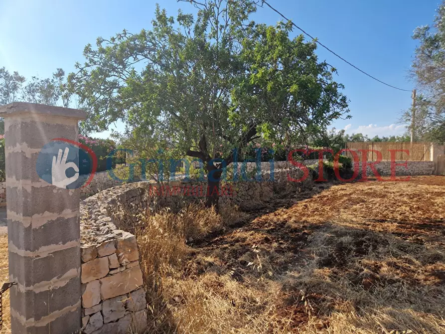 Immagine 13 di Terreno agricolo in vendita  a Latiano