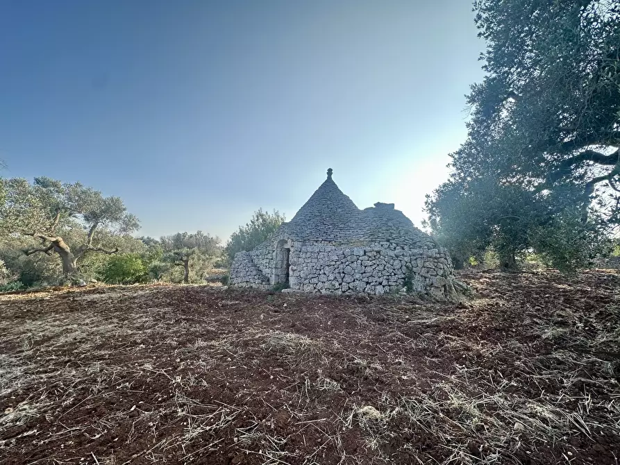 Immagine 10 di Terreno edificabile in vendita  a Ceglie Messapico