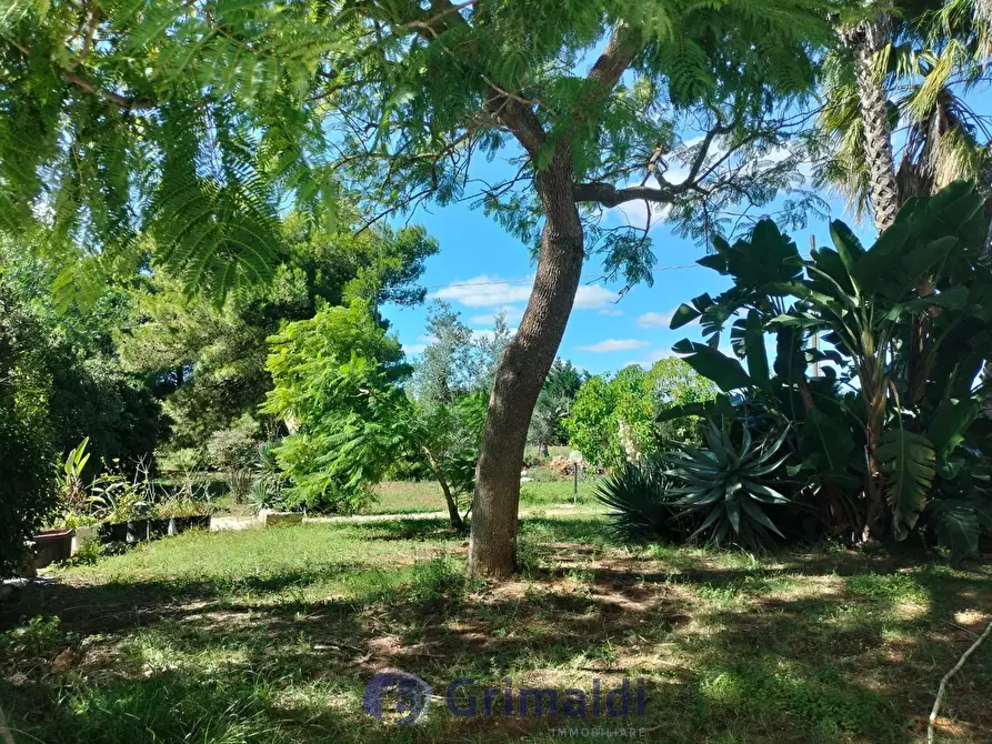 Immagine 33 di Villa in vendita  in strada provinciale 39 a Maglie