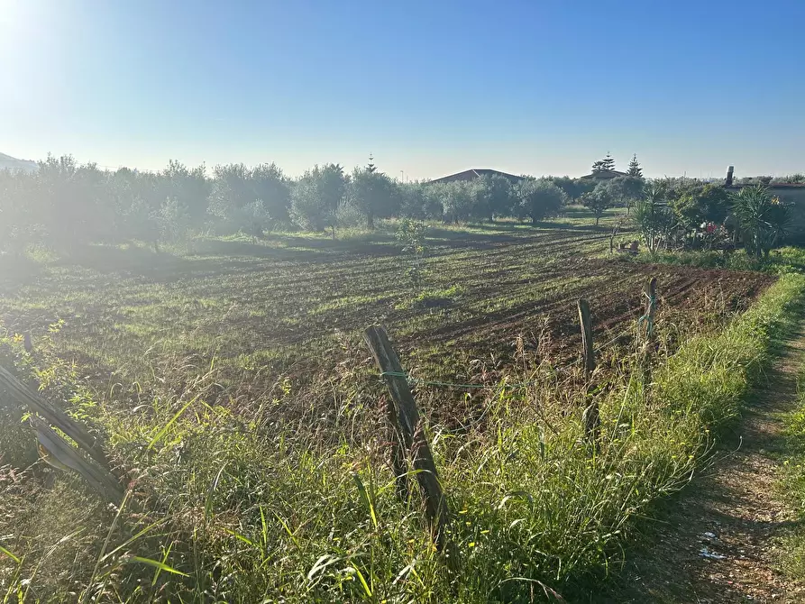 Immagine 5 di Terreno agricolo in vendita  a Terracina