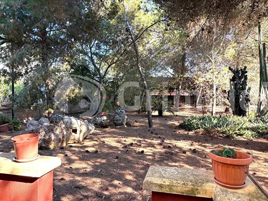 Immagine 12 di Casa indipendente in vendita  in Contrada Curlo a Sannicola
