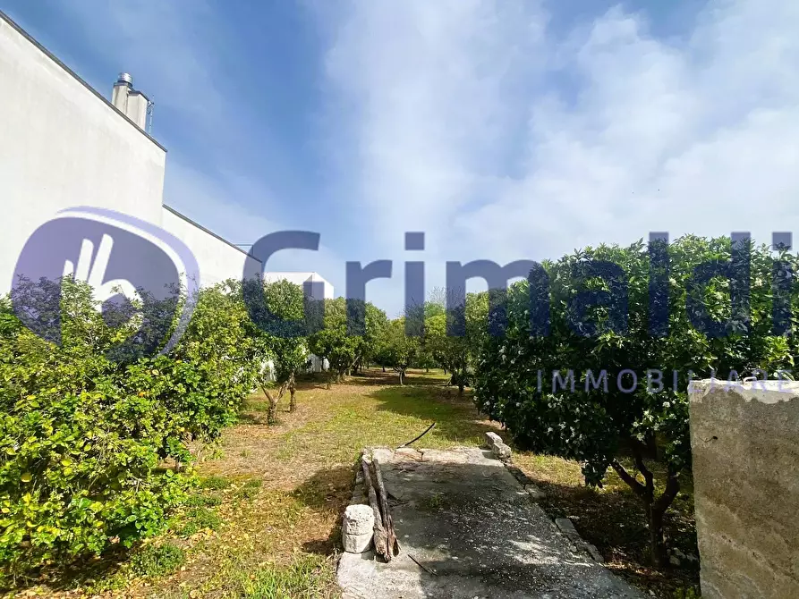 Immagine 1 di Terreno agricolo in vendita  in Via Santa Lucia 44 a Scorrano