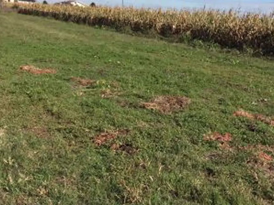 Immagine 1 di Terreno edificabile in vendita  a Villata