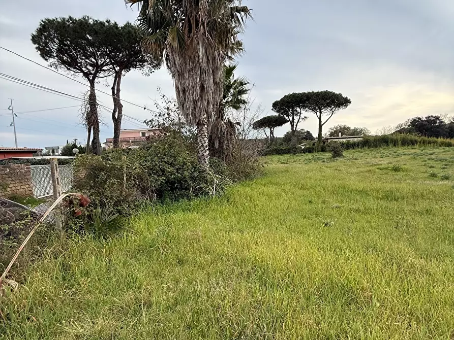 Immagine 6 di Terreno edificabile in vendita  in VIA CENTOCELLE 1 a Anzio