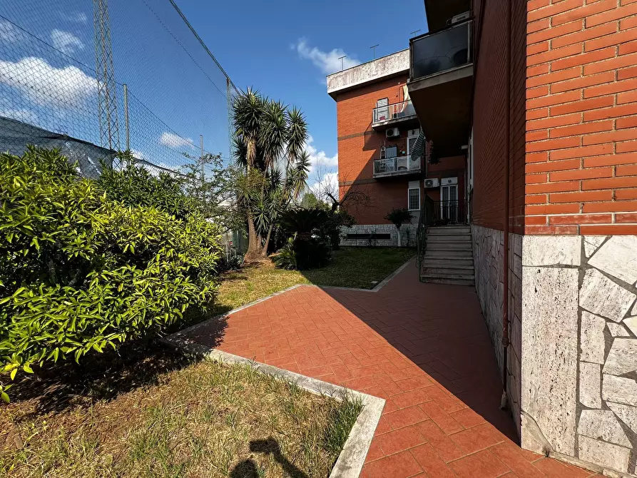 Immagine 18 di Quadrilocale in vendita  in via san giacomo 92 a Nettuno