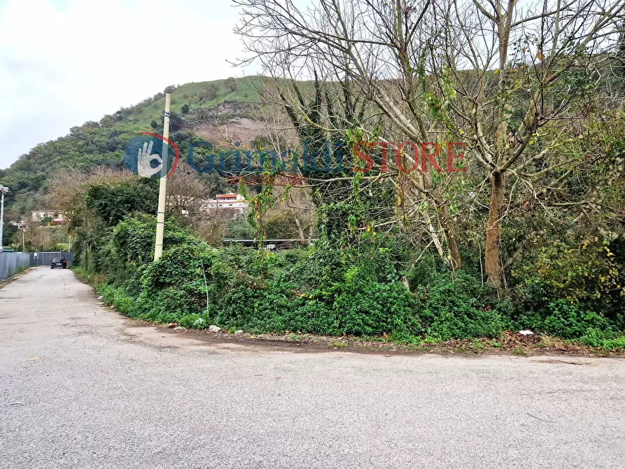 Immagine 7 di Terreno agricolo in vendita  in Via Scarfoglio 7 a Napoli