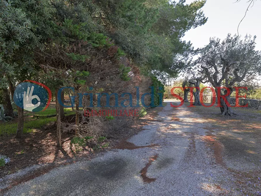 Immagine 34 di Casa indipendente in vendita  in C.S. Lu Monte 1 a Lizzanello