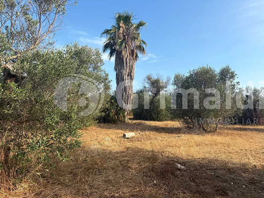 Immagine 14 di Terreno agricolo in vendita  in Contrada Coline a Alezio